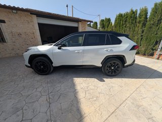 Toyota RAV4 2024