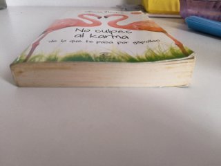 No culpes al karma de lo que te pasa por gilipo...