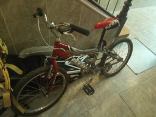 Bicicleta infantil roja y plateada
