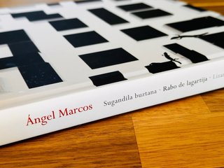 Ángel Marcos lizard's tail (planning and strategy)