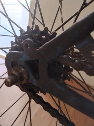 Bicicleta