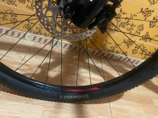 Bicicleta MTB Canyon 29