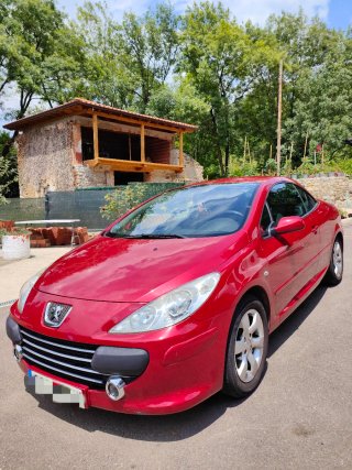 Peugeot 307 2009