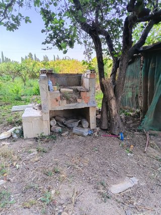 Huerto