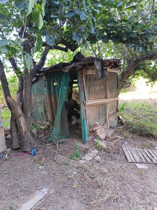Huerto
