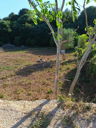Huerto