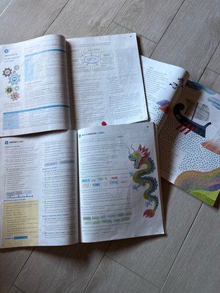 Lengua y literatura 2 eso, operacion mundo