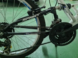 Bicicleta Montaña rueda 24" y 21cambios Freno disc