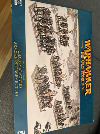 Warhammer Old World: Guerreros del Caos