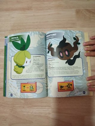 Guía de los pokémon de Alola / Pokémon: Alola R...