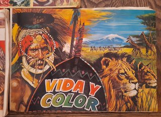 Álbumes VIDA Y COLOR 1, 2 y 3 Completos