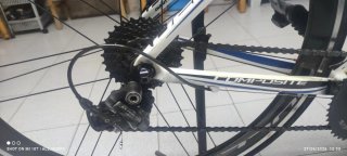 Giant Defy Carbono Ultegra platos ovalados 50/34