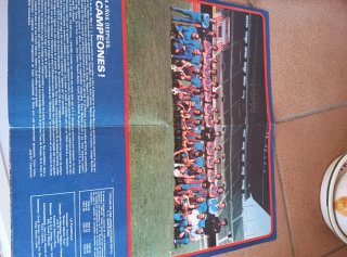 Disco Vinilo FC Barcelona Azul y Grana