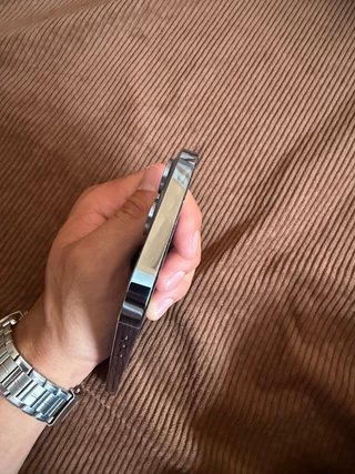 iPhone 13 Pro Max 256GB