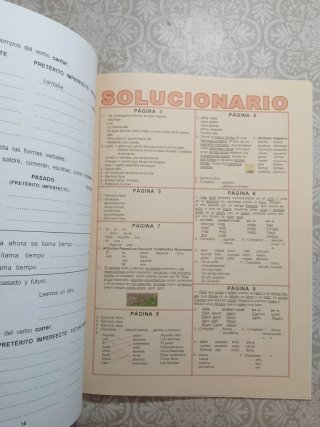 Puente Educación Primaria 6 (Lengua)