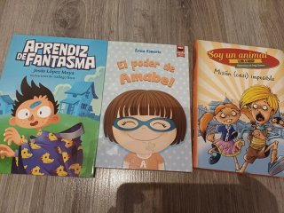 Lote libros juveniles