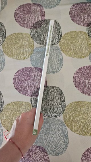 Mi primer libro sobre Leonardo
