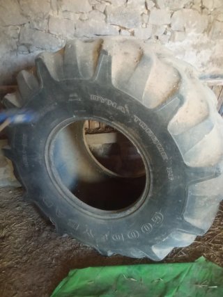 Roda Cosetxadora