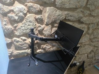 Monitor LCD 18,5 con braccio