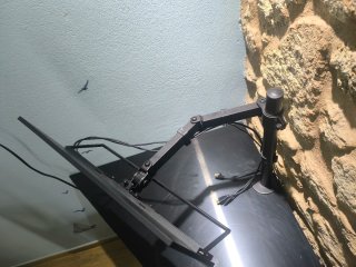 Monitor LCD 18,5 con braccio