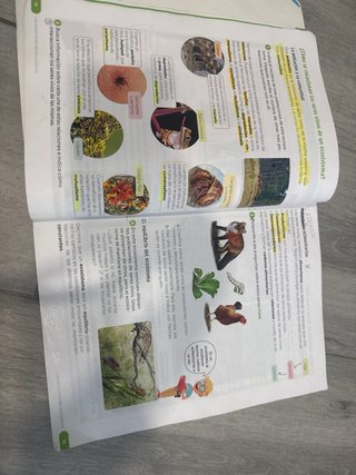 Ciencias de la Naturaleza, 4 Primaria, Revuela