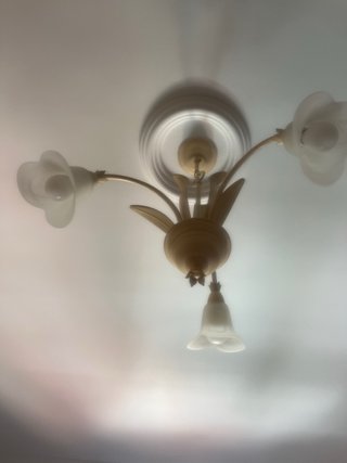 Lámpara de techo tulipas
