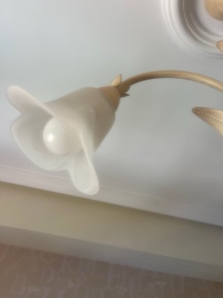 Lámpara de techo tulipas
