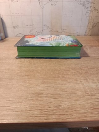 Reconquista del Reino de la Fantasía. Décimo vi...