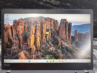 Lenovo ThinkPad T490s