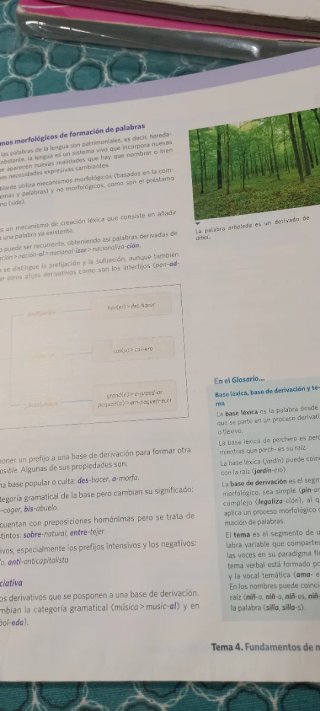 Libro Lengua castellana y literatura 1 Bachillerat