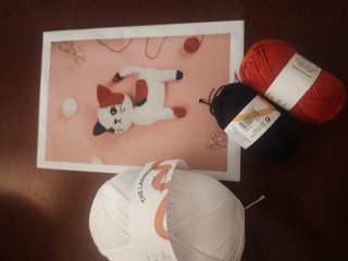 Kit Amigurumi Gato Catty