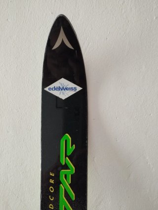 Esquís Dynastar Omega Woodcore