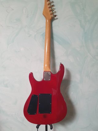 Guitarra Eléctrica Canvass