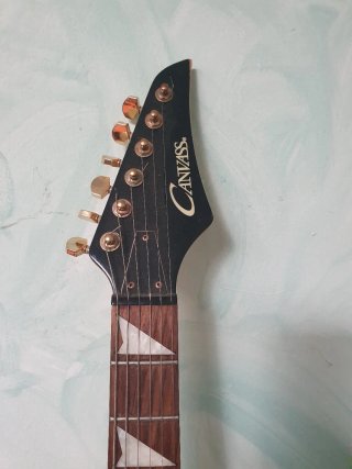 Guitarra Eléctrica Canvass