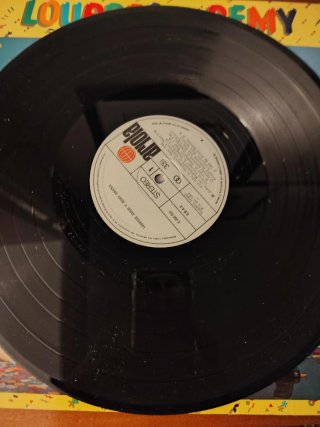 Vinilo Lourdes y Remy