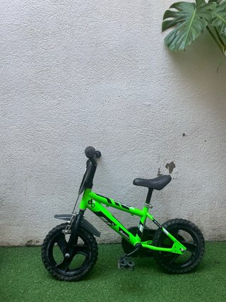 Bicicleta Dino Bikes R88 Niños 3-4 Años