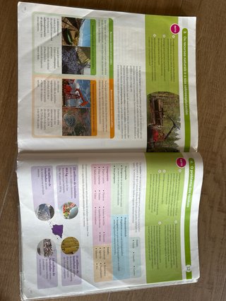 Bioloxía e Xeoloxía, 4 ESO, Proxecto Construínd...