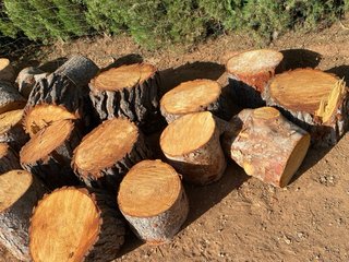 Leña de pino para chimenea