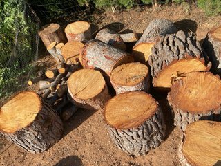 Leña de pino para chimenea