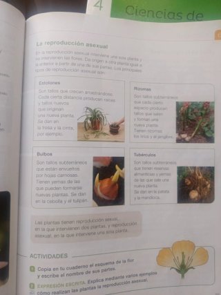 Ciencias de la Naturaleza 4o Primaria : Proyect...
