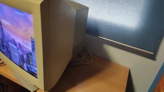 Monitor CRT Sun Mycrosistems 20 Beige/Gris