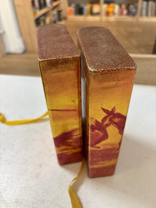 Don Quijote de la Mancha (Lote de 2 volúmenes)