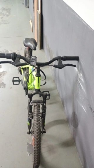 Bicicleta Unisex Verde