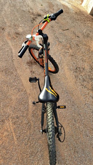Bicicleta Infantil 20