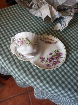 Taza y plato de porcelana con flores pone
