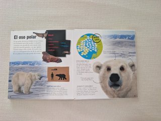 Libro Animales gigantes para niños