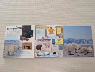 Libro Animales gigantes para niños
