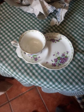 Taza de te con plato de porcelana