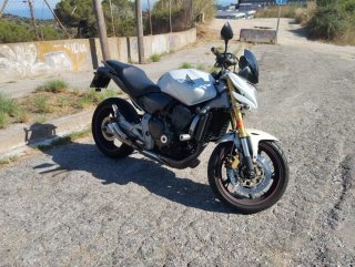 Honda Hornet CB600F 2009