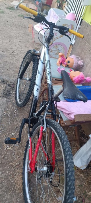 Bicicleta de Montaña